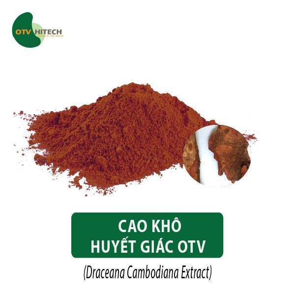 Cao Khô Huyết Giác OTV (67)