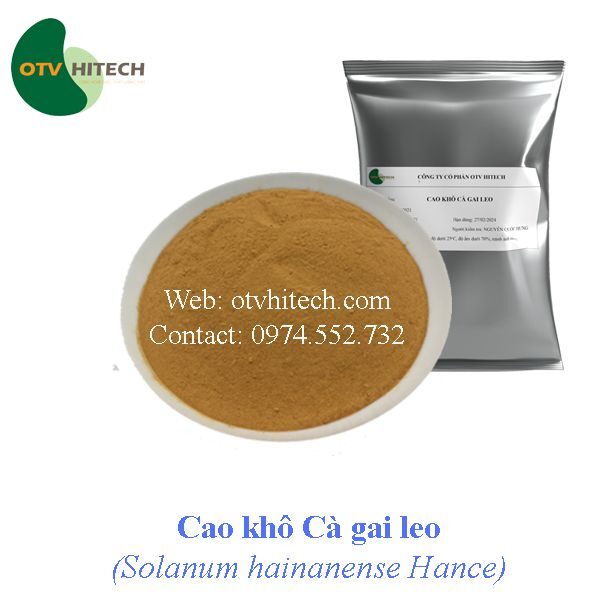 Cao khô Cà gai leo OTV (1)