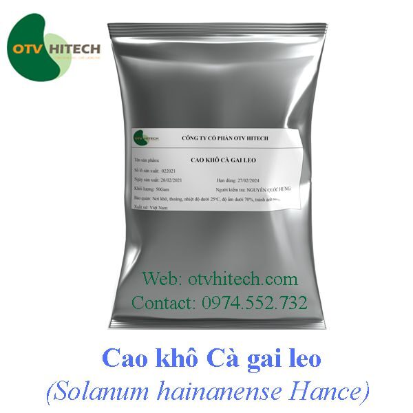 Cao khô Cà gai leo OTV (2)