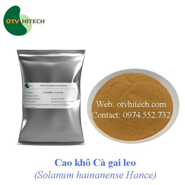 Cao khô Cà gai leo OTV (3)