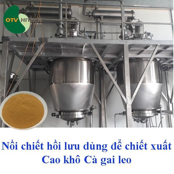 Cao khô Cà gai leo OTV (4)