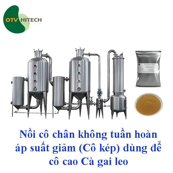 Cao khô Cà gai leo OTV (5)