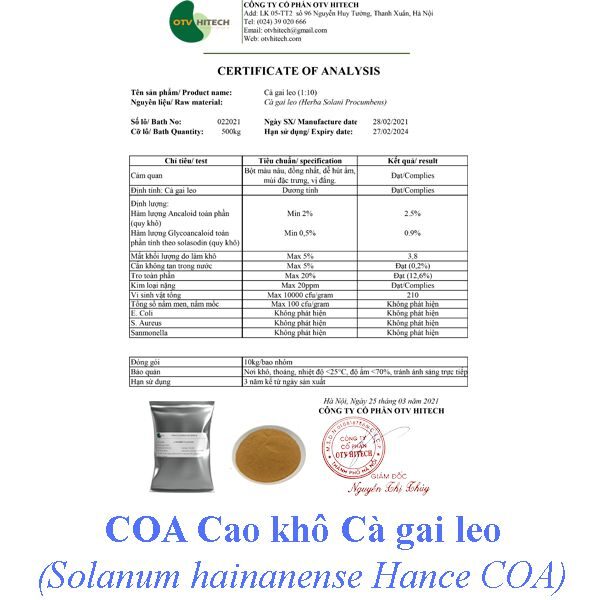 Cao khô Cà gai leo OTV (7)