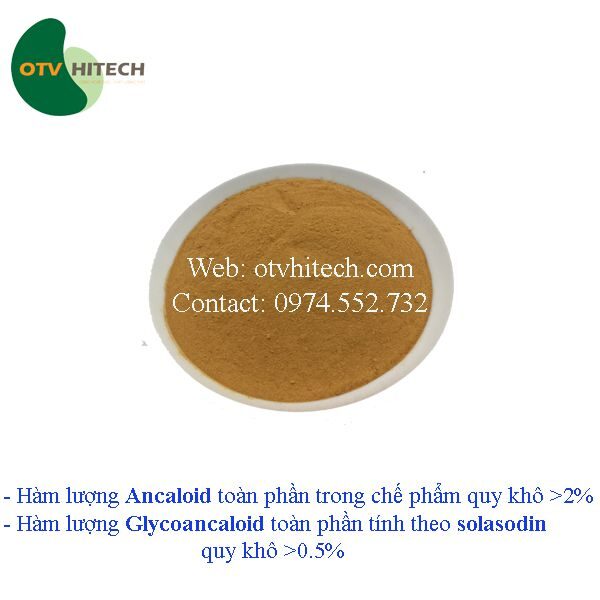 Cao khô Cà gai leo OTV (9)