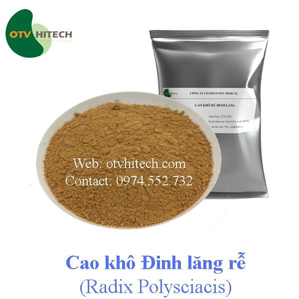 Cao khô Đinh lăng rễ OTV (1)