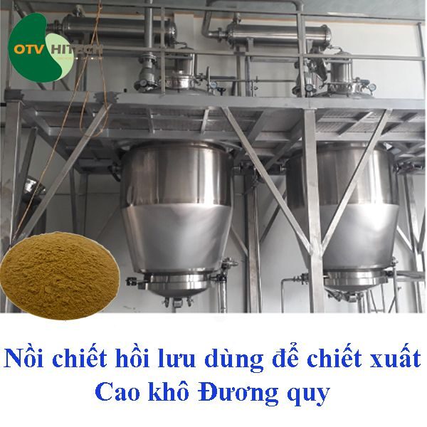 Cao khô Đương quy OTV (4)