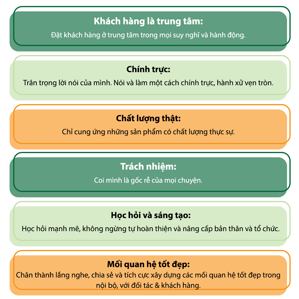 Về chúng tôi-1