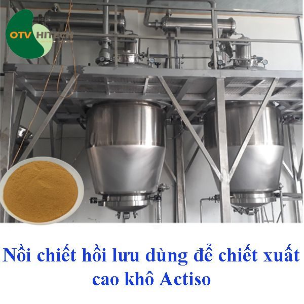 Cao khô Actiso OTV (4)