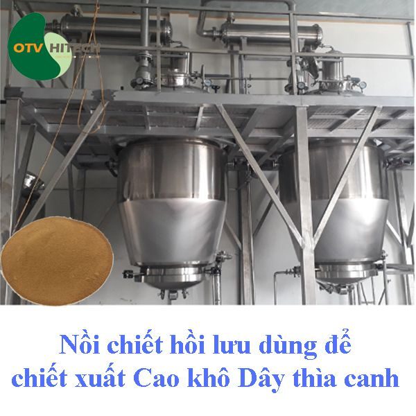 Cao khô Dây thìa canh OTV (4)