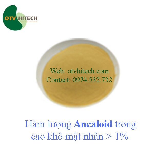 Cao khô Mật Nhân, Bá Bệnh OTV (9)