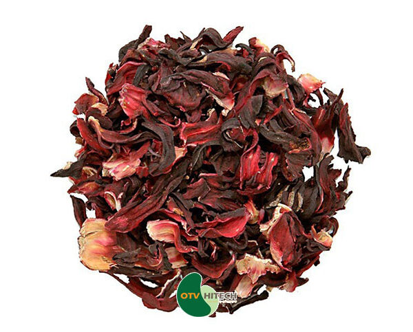 Dược liệu bụp giấm-0