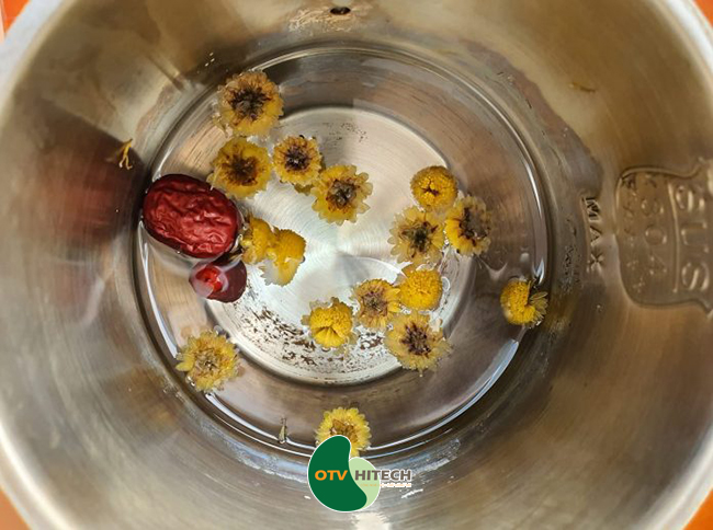 Dược liệu cúc hoa vàng-2