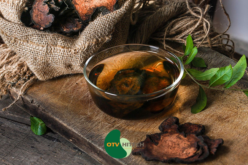 Dược liệu hà thủ ô đỏ-2