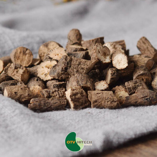 Dược liệu sâm cau-0