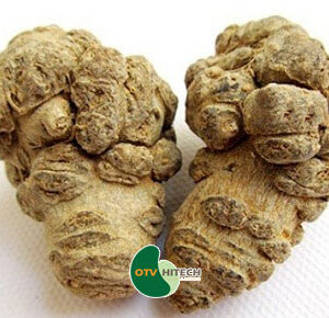 Dược liệu tam thất nam-0