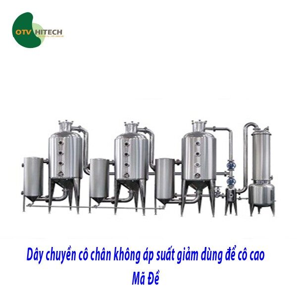 Cao khô Mã Đề OTV (2)