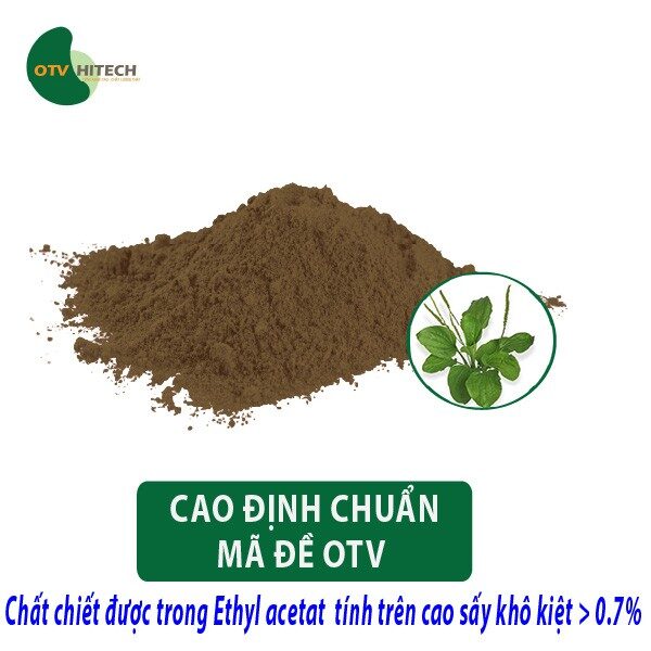 Cao khô Mã Đề OTV (4)
