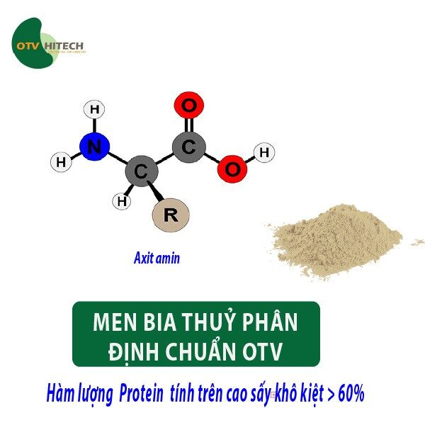 Đạm thuỷ phân Men Bia OTV (4)