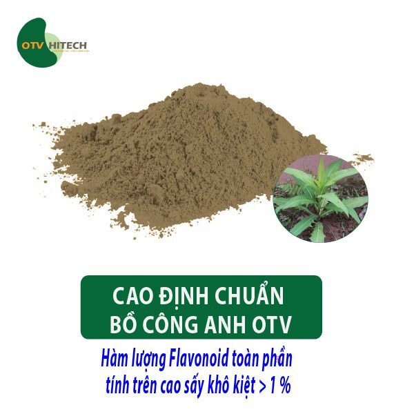 Cao khô Bồ Công Anh OTV (4)