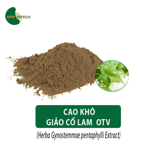 Cao khô Giảo Cổ Lam OTV