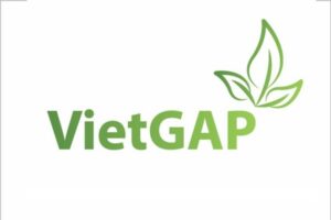 VietGAP là gì